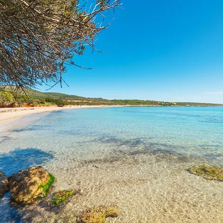 Apartman Finesta Sul Mare Capocaccia - Happy *