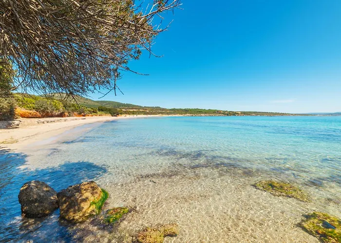 Διαμέρισμα Finestra Sul Mare Capocaccia - Happy *